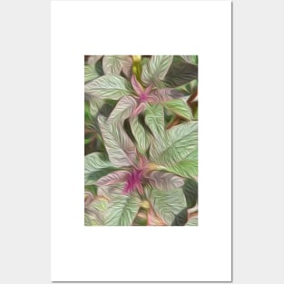 Amaranthus oil paint effect Posters and Art